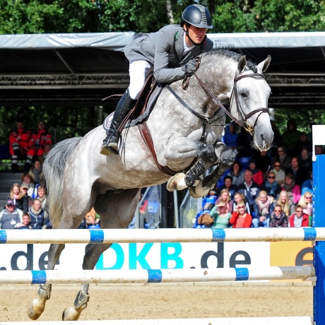 stallone Caressini da Caretino Cassini Bundeschampion di Ludger Beerbaum salto ostacoli Equine Evolution stalloni tedeschi