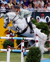 Marco Kutscher Cornet Obolensky Montender Monte Bellini, stalloni da monta tedeschi Equine Evolution