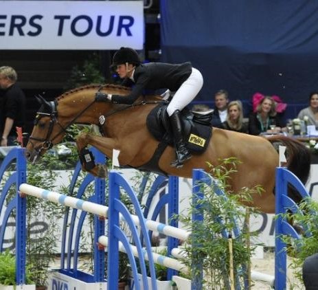 stallone Perignon da Perigueux x Stolzenberg da Stakkato di Ludger Beerbaum Equine Evolution stalloni tedeschi